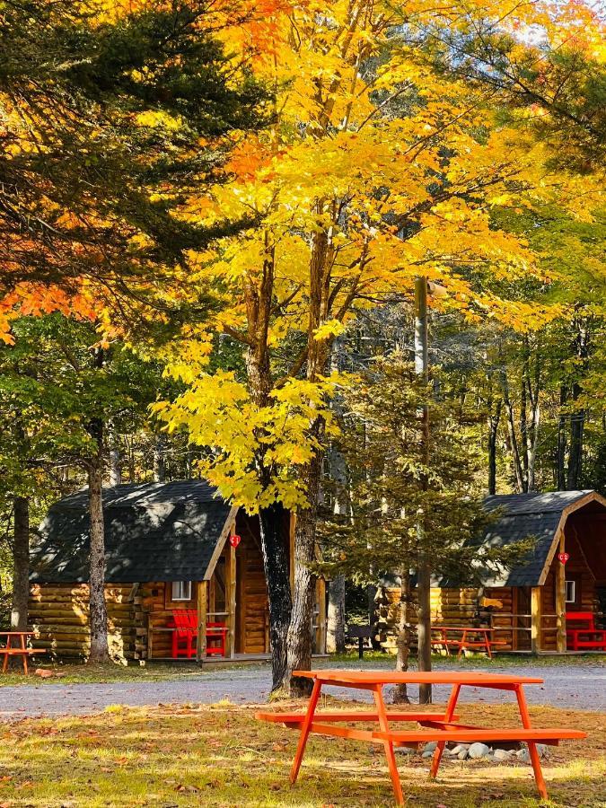 Glenview Cottages 수세인트마리 외부 사진